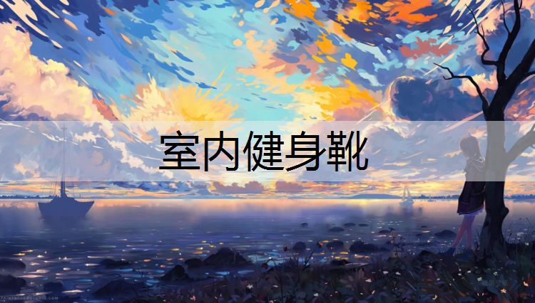 室内健身靴 室内健身靴